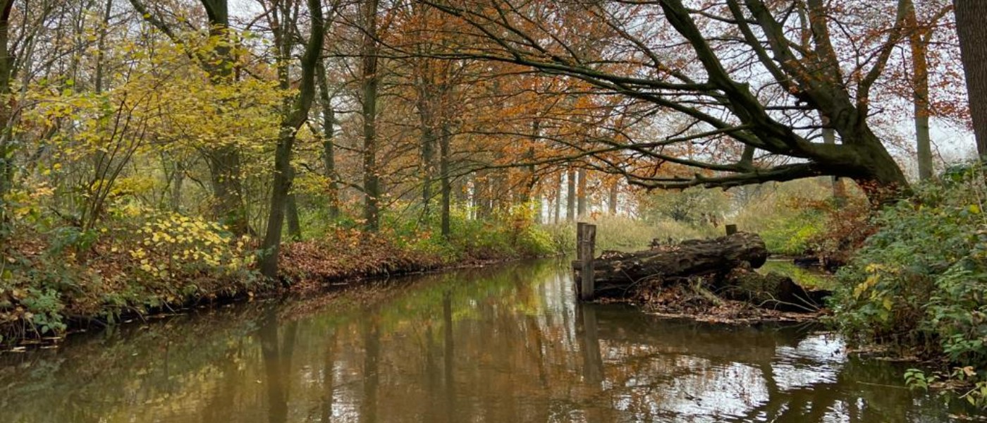 Prachtige suptocht langs Kasteel Heeswijk