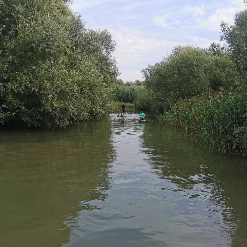 Biesbosch - Haven Henk
