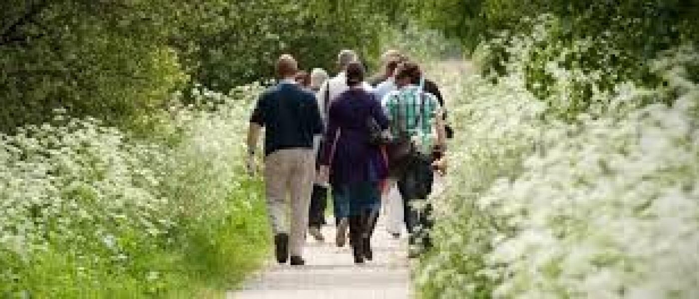 Wandeling in De Bruuk