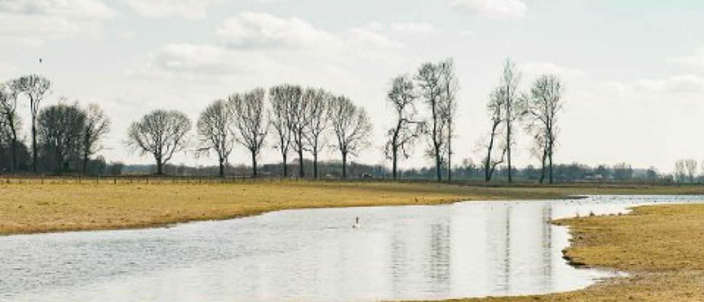 NS wandeling uiterwaarden van Cortenoever (van Brummen naar Zutphen)